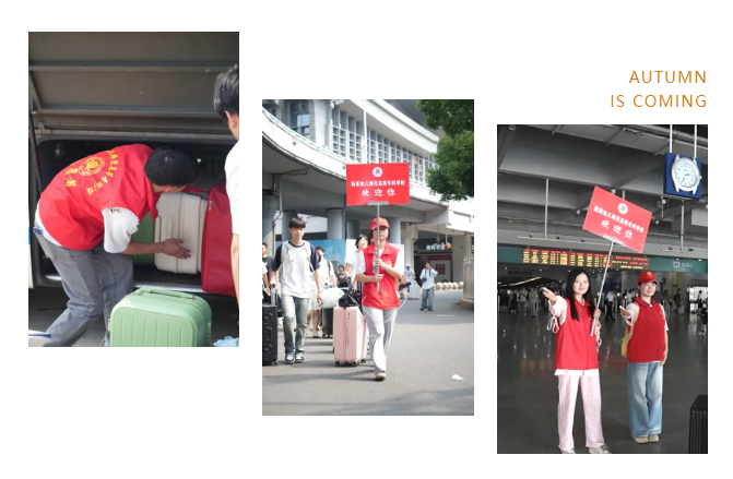 4e487afd-ea93-4a7e-bba8-452c76541058.png