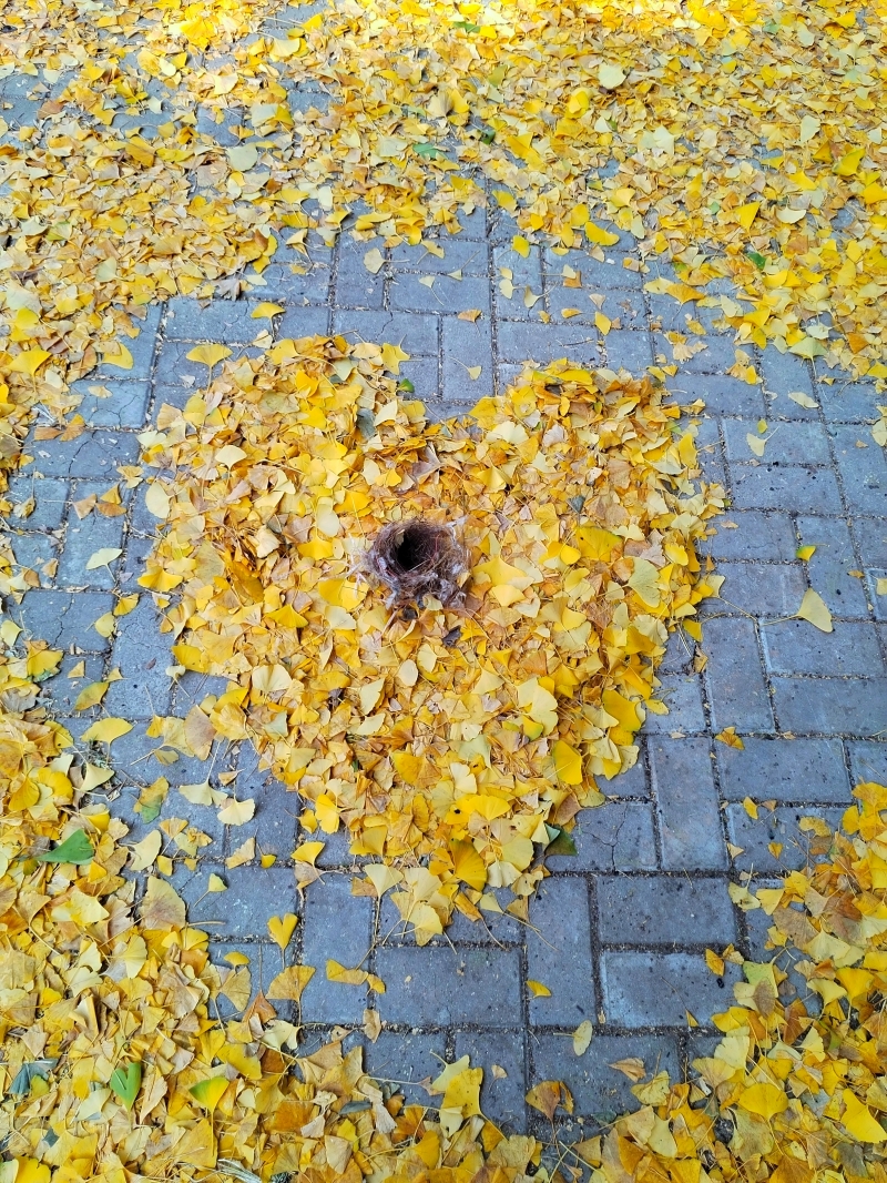 微信图片_20251016083408_315_7.jpg